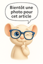 MICROBRUSH X APPLICATEURS RECHARGE DE 100